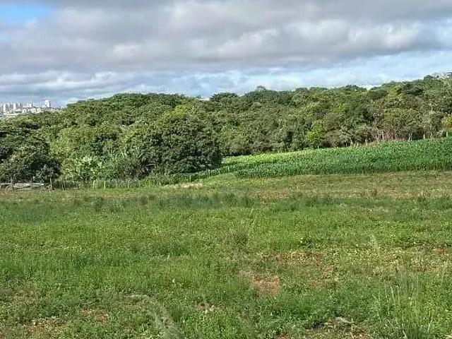 Sítio e chácara venda em Região Geográfica Imediata de Anápolis, Anápolis