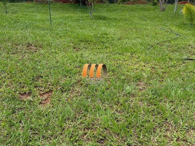 Sítio e chácara venda em Vila Mariana, Anápolis