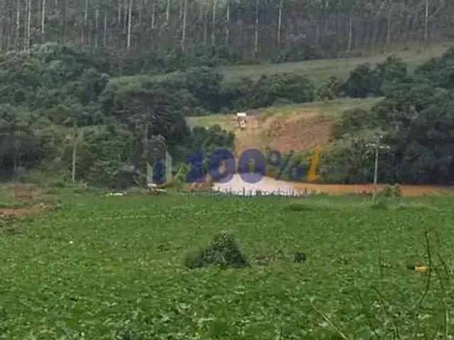 Sítio e chácara venda em Região Geográfica Imediata de Poços de Caldas, Andradas