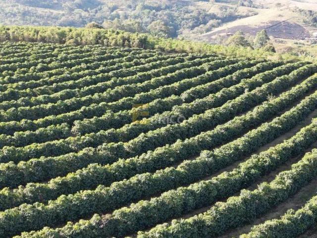 Sítio e chácara venda em Região Geográfica Imediata de Poços de Caldas, Andradas
