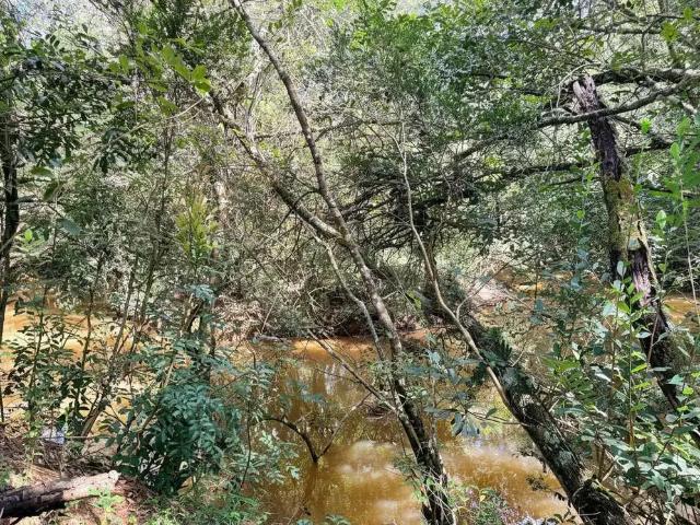 Sítio e chácara venda em Região Geográfica Imediata de Poços de Caldas, Andradas