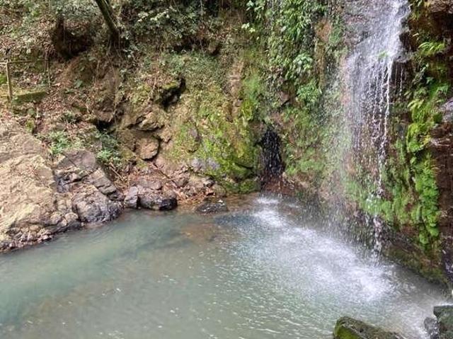 Sítio e chácara venda em Região Geográfica Imediata de Poços de Caldas, Andradas