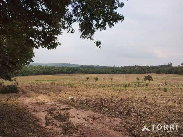 Sítio e chácara venda em Região Imediata de Itapetininga, Angatuba