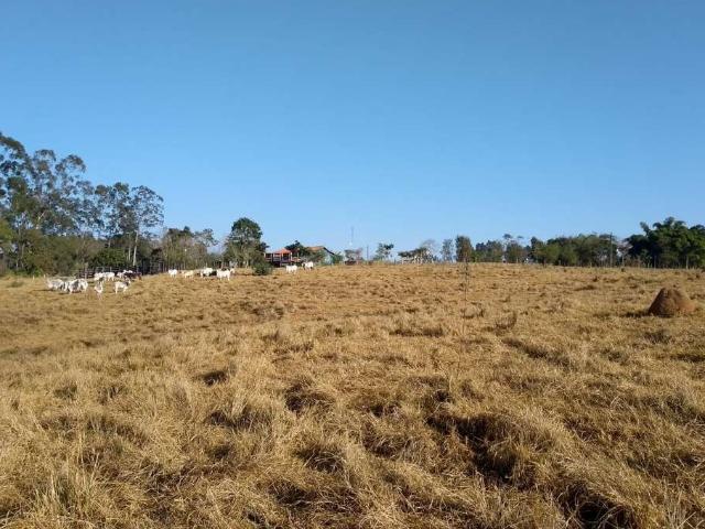 Sítio e chácara venda em Região Imediata de Itapetininga, Angatuba
