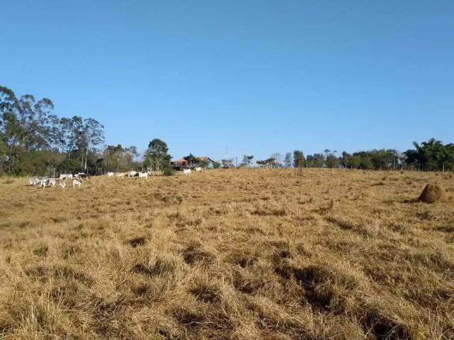 Sítio e chácara venda em Região Imediata de Itapetininga, Angatuba
