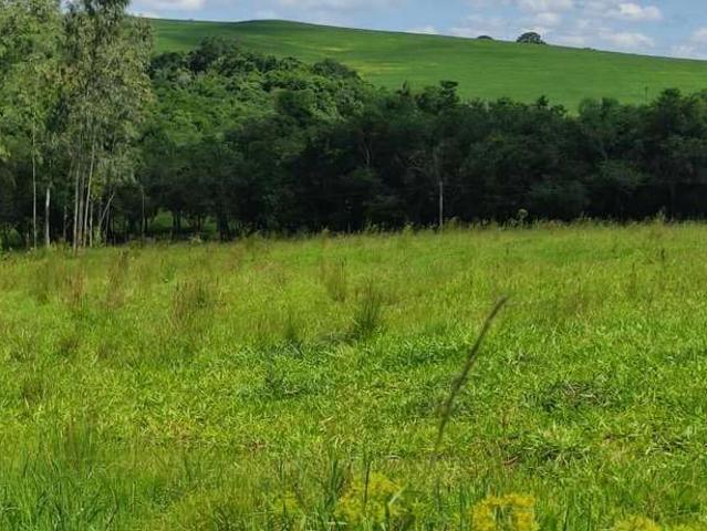 Sítio e chácara venda em Angatuba