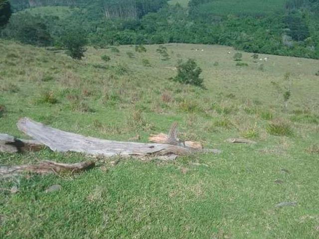 Sítio e chácara venda em Angatuba