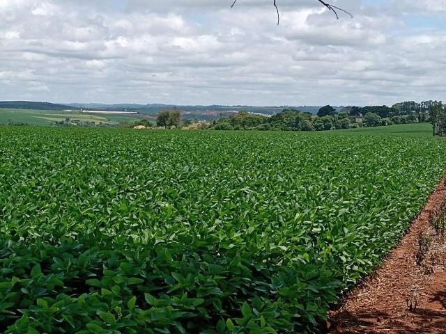 Sítio e chácara venda em Centro, Angatuba