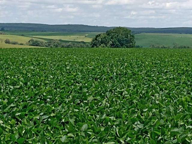 Sítio e chácara venda em Região Imediata de Itapetininga, Angatuba