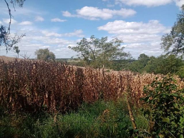 Sítio e chácara venda em Centro, Angatuba