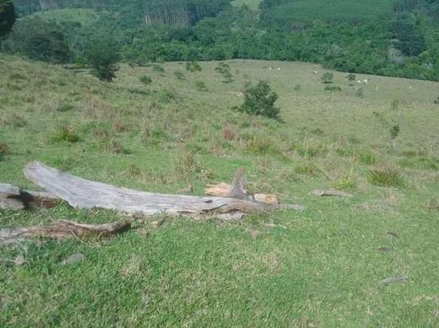 Sítio e chácara venda em Região Imediata de Itapetininga, Angatuba