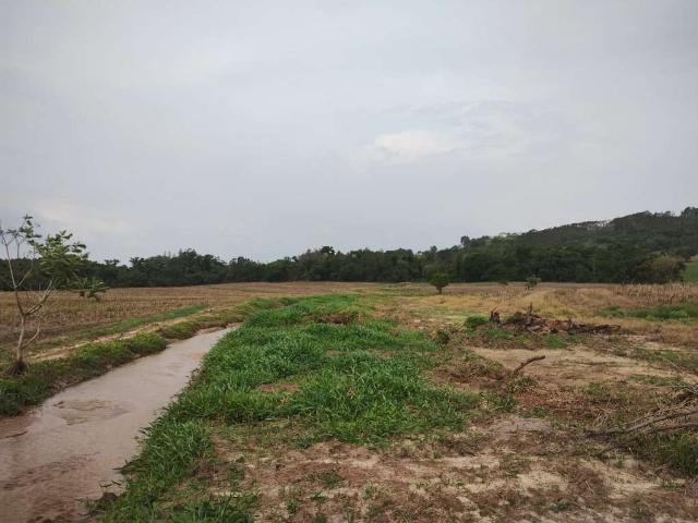 Sítio e chácara venda em Região Imediata de São José do Rio Preto, Região Metropolitana de São José do Rio Preto