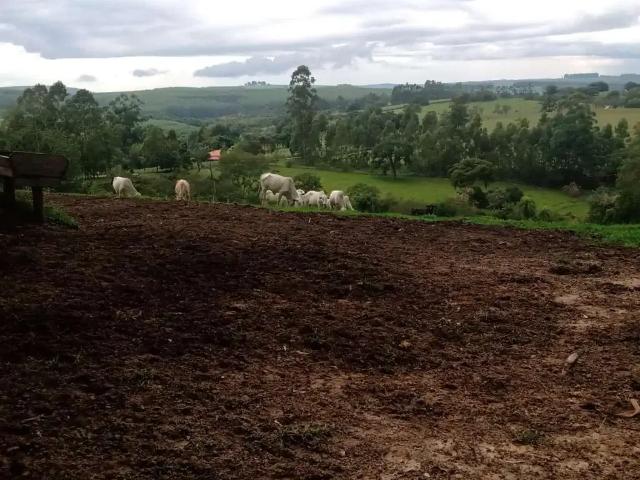 Sítio e chácara venda em Região Imediata de Itapetininga, Angatuba