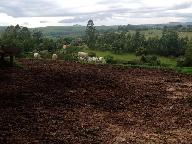 Sítio e chácara venda em Região Imediata de Itapetininga, Angatuba