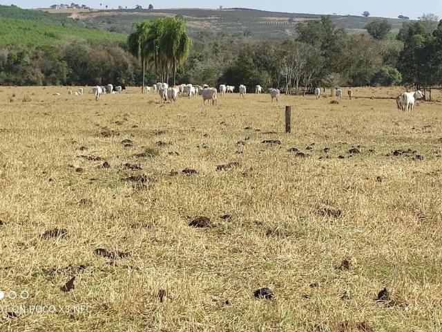 Sítio e chácara venda em Região Imediata de Santos, Região Metropolitana da Baixada Santista