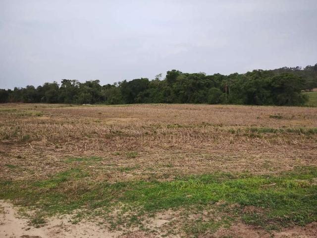 Sítio e chácara venda em Angatuba, São Paulo