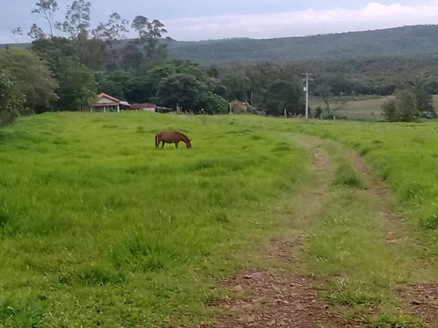 Sítio e chácara venda em Centro, Angatuba