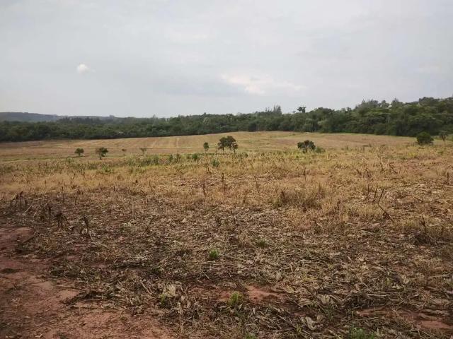 Sítio e chácara venda em Região Imediata de São José do Rio Preto, Região Metropolitana de São José do Rio Preto