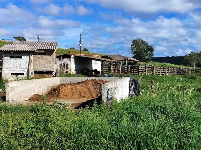 Sítio e chácara venda em Região Imediata de Campinas, Região Metropolitana de Campinas