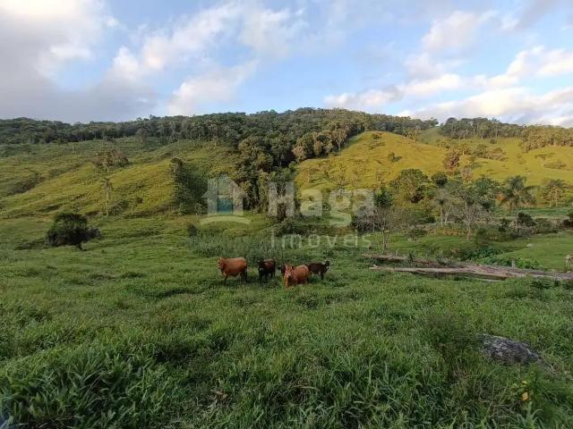 Sítio e chácara venda em Região Geográfica Imediata de Florianópolis, Angelina