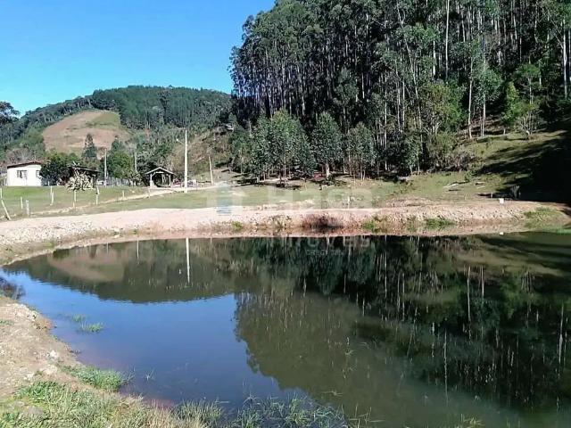 Sítio e chácara venda em Região Geográfica Imediata de Florianópolis, Angelina