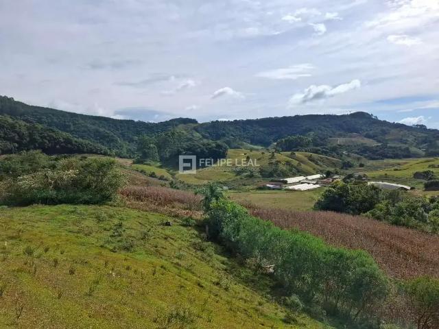 Sítio e chácara venda em Região Geográfica Imediata de Florianópolis, Angelina