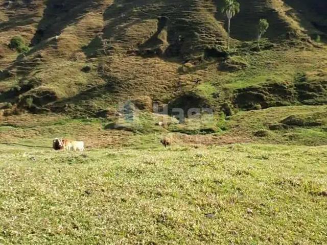 Sítio e chácara venda em Região Geográfica Imediata de Florianópolis, Angelina