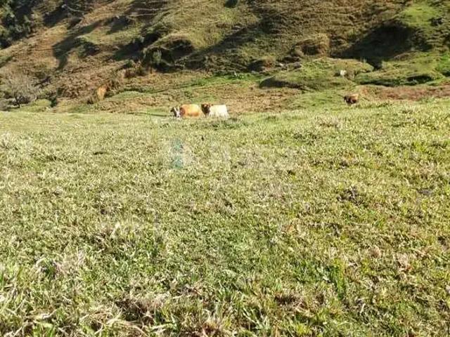 Sítio e chácara venda em Região Geográfica Imediata de Florianópolis, Angelina