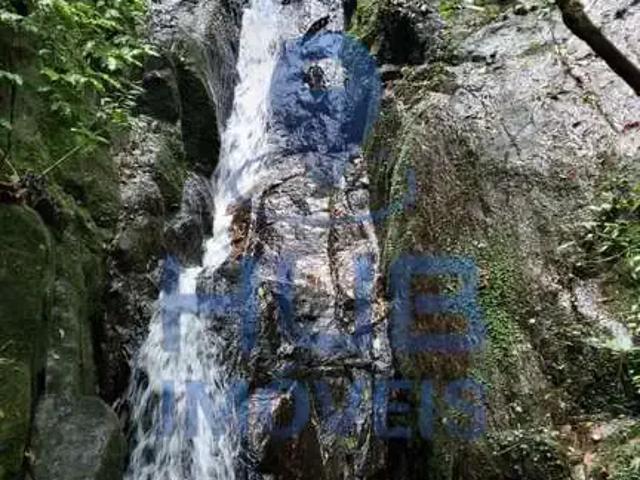Sítio e chácara venda em Região Geográfica Imediata de Florianópolis, Angelina