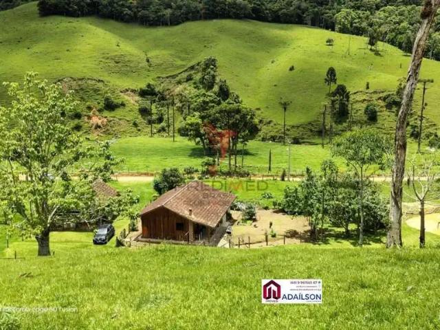 Sítio e chácara venda em Região Geográfica Imediata de Florianópolis, Angelina