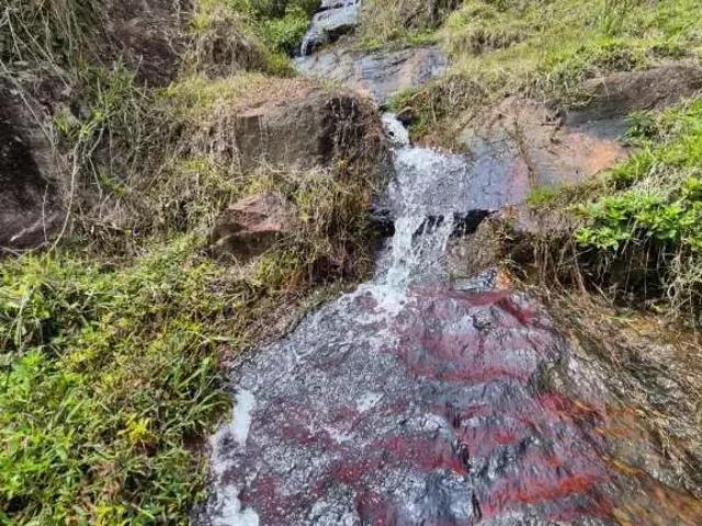 Sítio e chácara venda em Região Geográfica Imediata de Florianópolis, Angelina