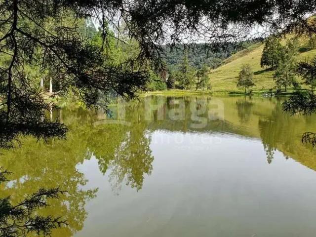 Sítio e chácara venda em Região Geográfica Imediata de Florianópolis, Angelina