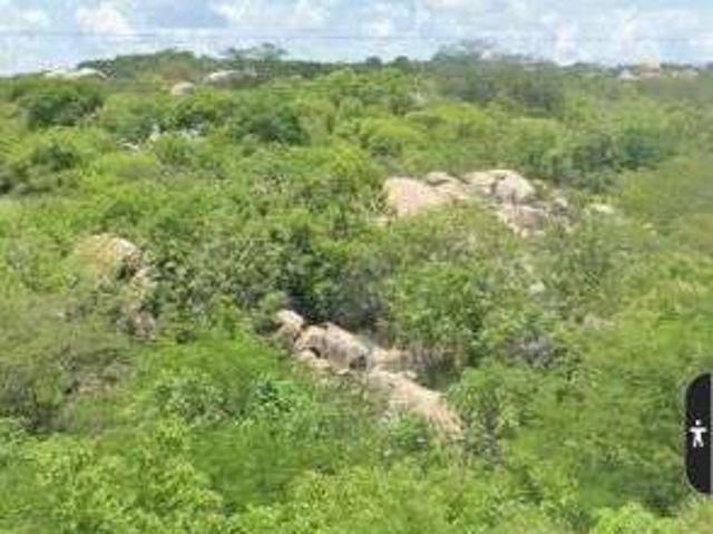 Sítio e chácara venda em Angicos