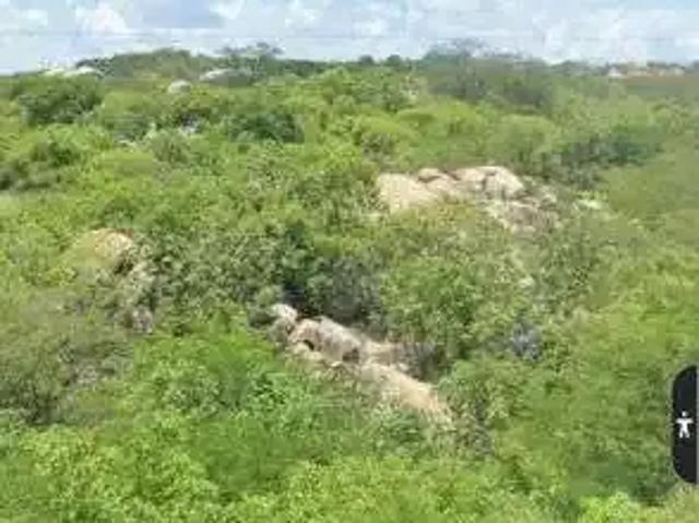 Sítio e chácara venda em Região Geográfica Imediata de Açu, Angicos