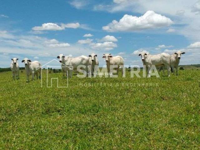 Sítio e chácara venda em Região Imediata de Botucatu, Anhembi