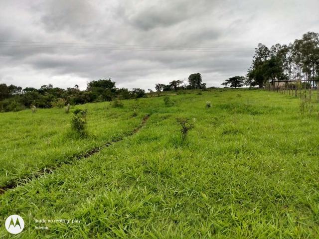 Sítio e chácara venda em Região Imediata de Botucatu, Anhembi