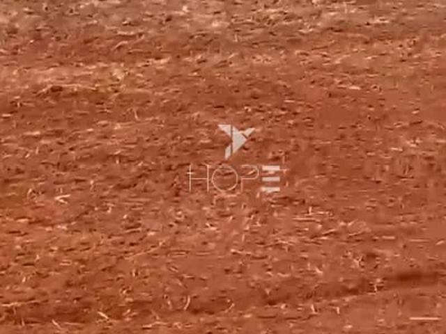 Sítio e chácara venda em Anhumas