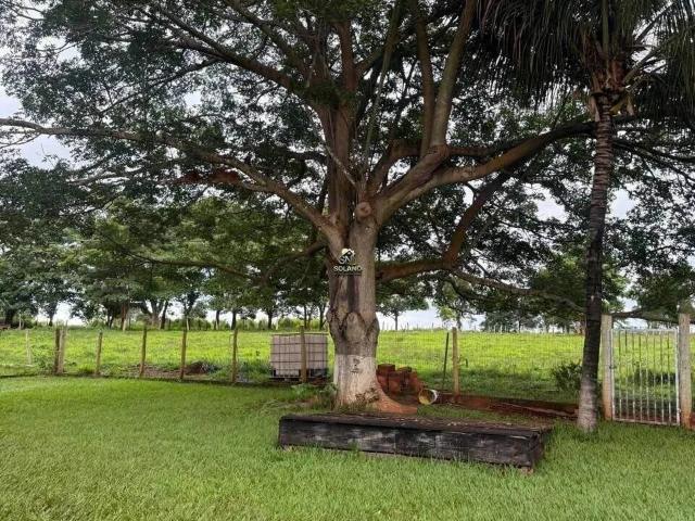 Sítio e chácara venda em Anicuns, Região Geográfica Intermediária de Goiânia