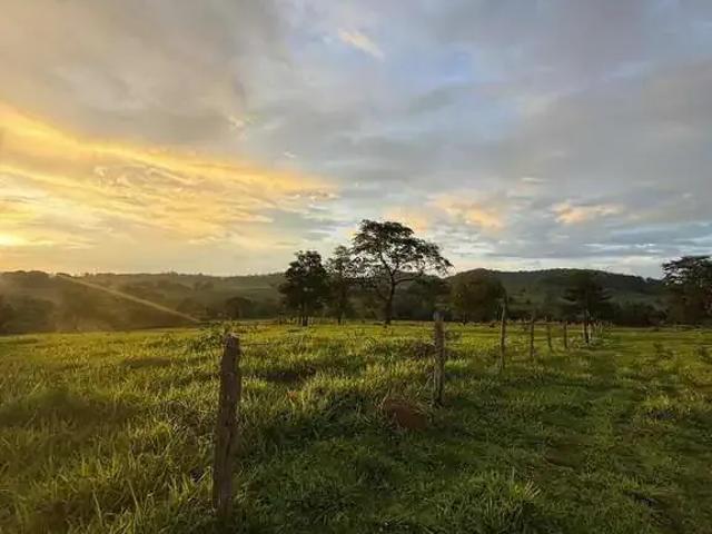 Sítio e chácara venda em Região Geográfica Imediata de Inhumas - Itaberaí - Anicuns, Anicuns