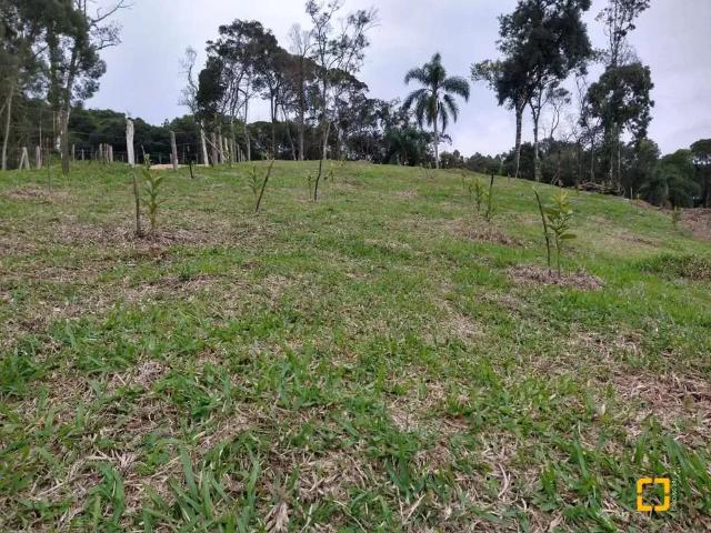 Sítio e chácara venda em Região Geográfica Imediata de Florianópolis, Anitápolis