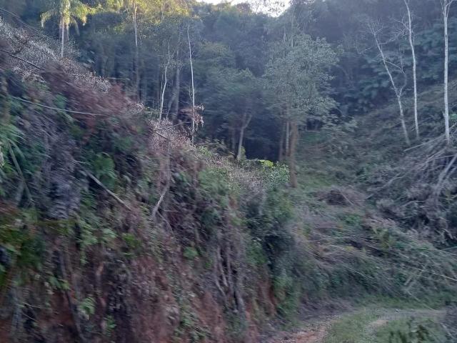 Sítio e chácara venda em Anitápolis, Região Geográfica Intermediária de Florianópolis