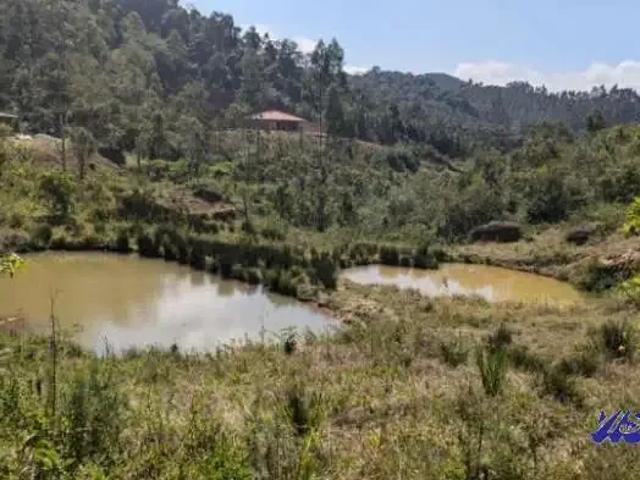 Sítio e chácara venda em Região Geográfica Imediata de Florianópolis, Anitápolis