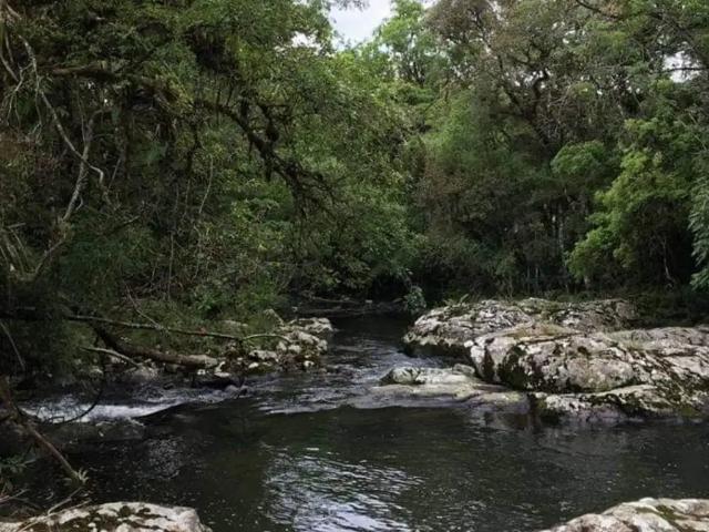 Sítio e chácara venda em Região Geográfica Imediata de Florianópolis, Anitápolis