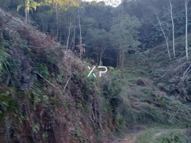 Sítio e chácara venda em Região Geográfica Imediata de Florianópolis, Anitápolis