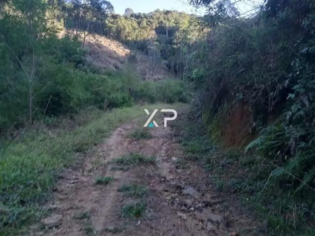 Sítio e chácara venda em Região Geográfica Imediata de Florianópolis, Anitápolis