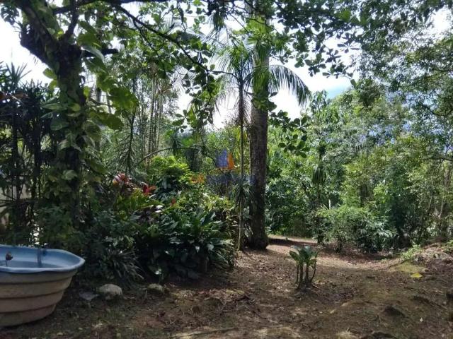 Sítio e chácara venda em Região Geográfica Imediata de Paranaguá, Antonina