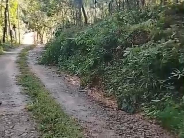 Sítio e chácara venda em Região Geográfica Imediata de Paranaguá, Antonina