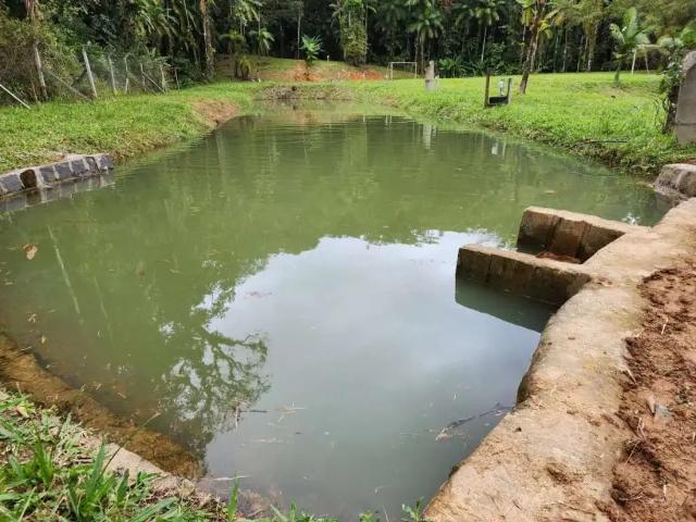 Sítio e chácara venda em Região Geográfica Imediata de Paranaguá, Antonina