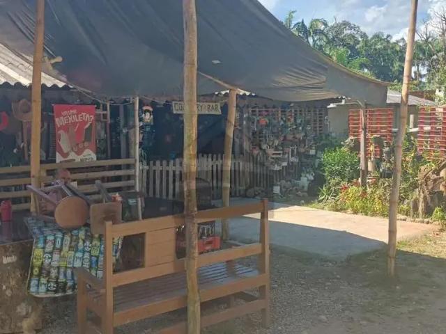 Sítio e chácara venda em Região Geográfica Imediata de Paranaguá, Antonina