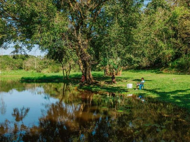 Sítio e chácara venda em Região Geográfica Imediata de Paranaguá, Antonina
